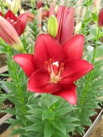 [5658 VZ H07 5609-06 No02.JPG]